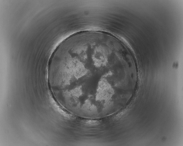 X0000113070839200909110938