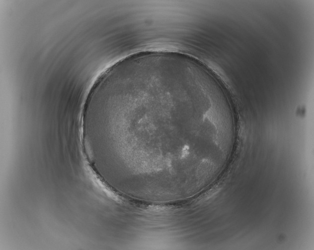 X0000113070840200909110938