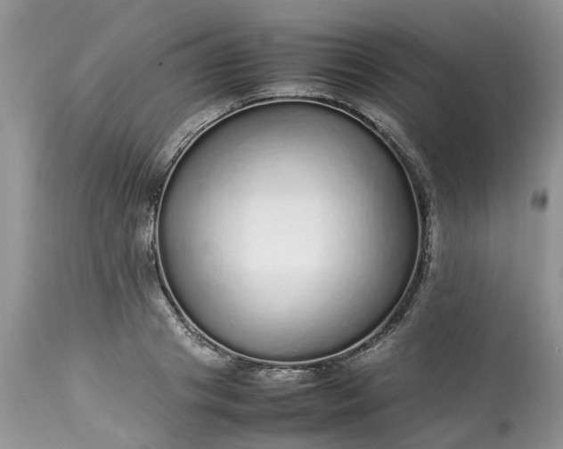 X0000113070841200909110938