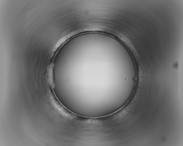 X0000113070842200909110938