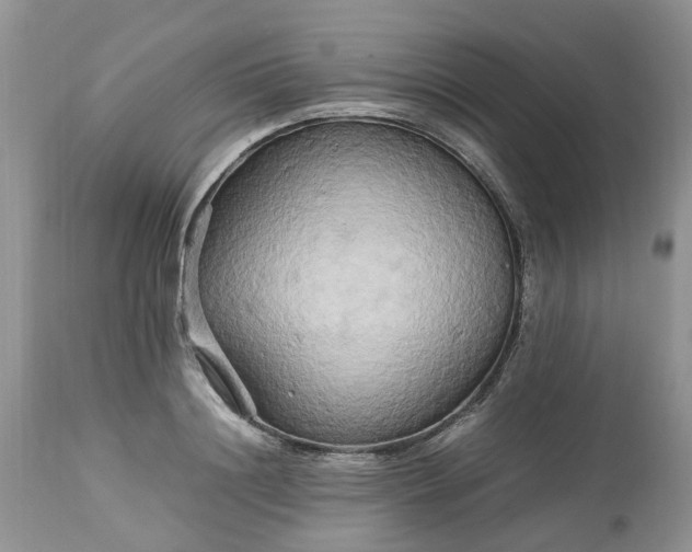 X0000113070844200909110938