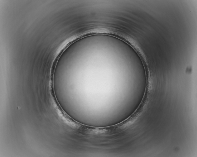 X0000113070845200909110938