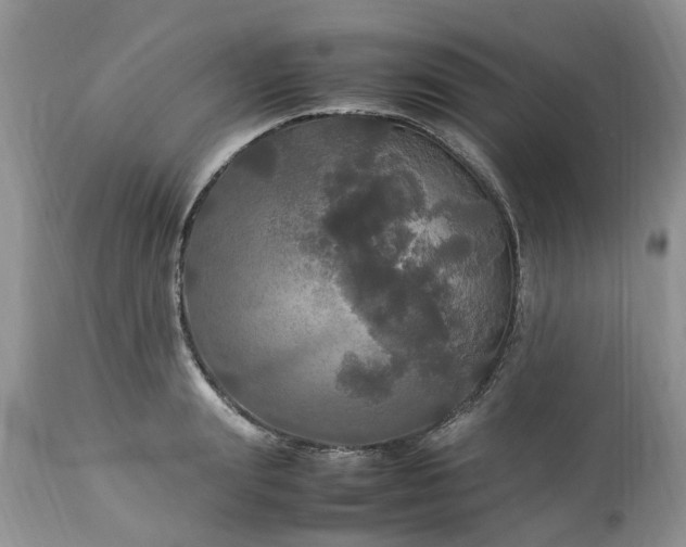 X0000113070847200909110938