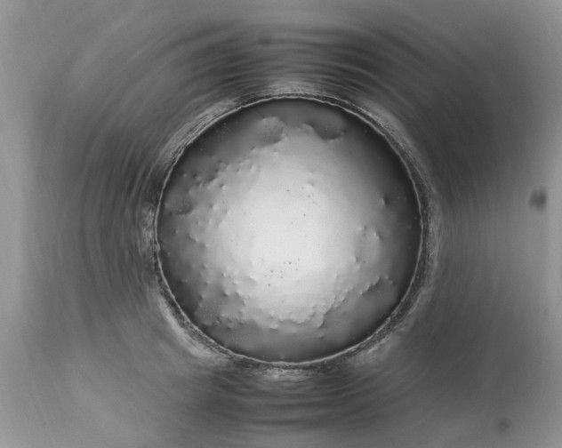 X0000113070849200909110938