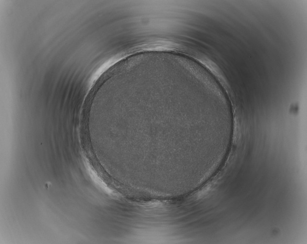 X0000113070850200909110938