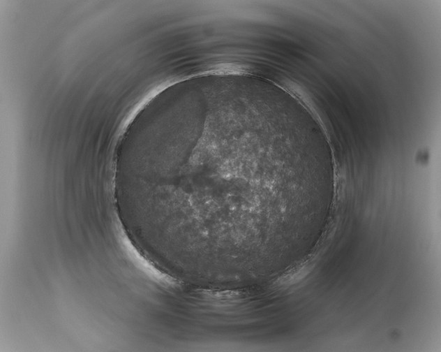 X0000113070851200909110938