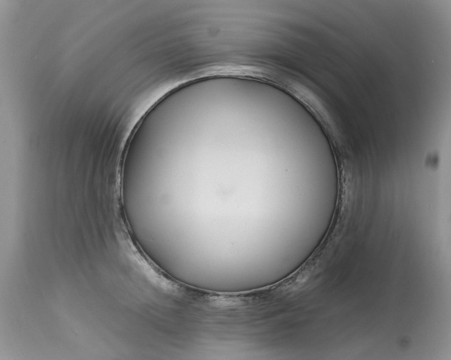 X0000113070852200909110938