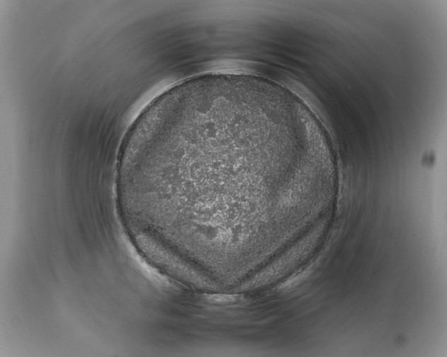 X0000113070853200909110938