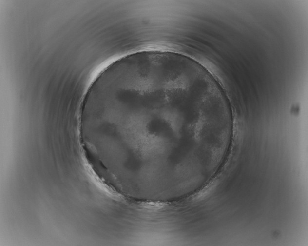 X0000113070854200909110938