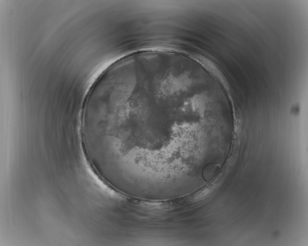 X0000113070855200909110939