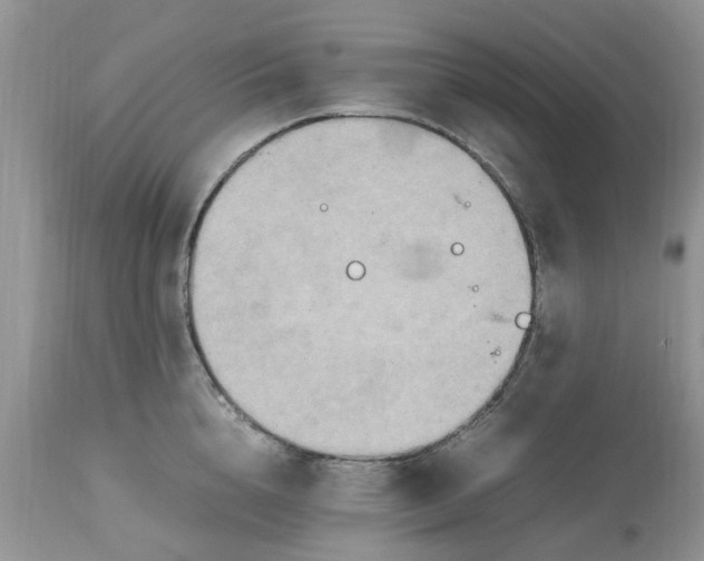 X0000113070856200909110939