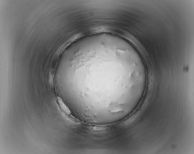 X0000113070857200909110939