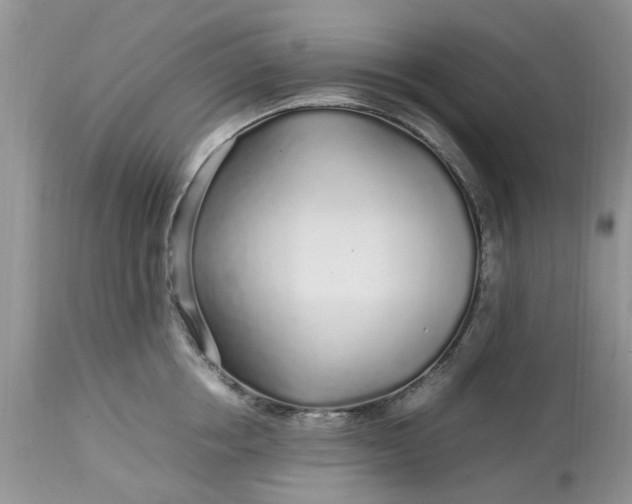 X0000113070858200909110939