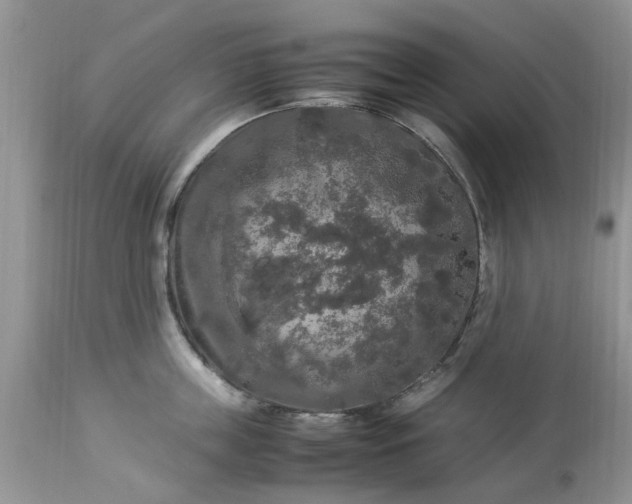 X0000113070859200909110939