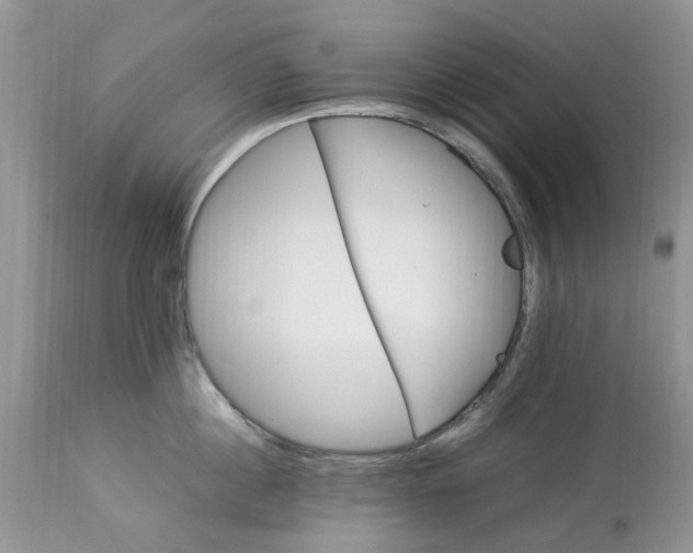 X0000113070860200909110939