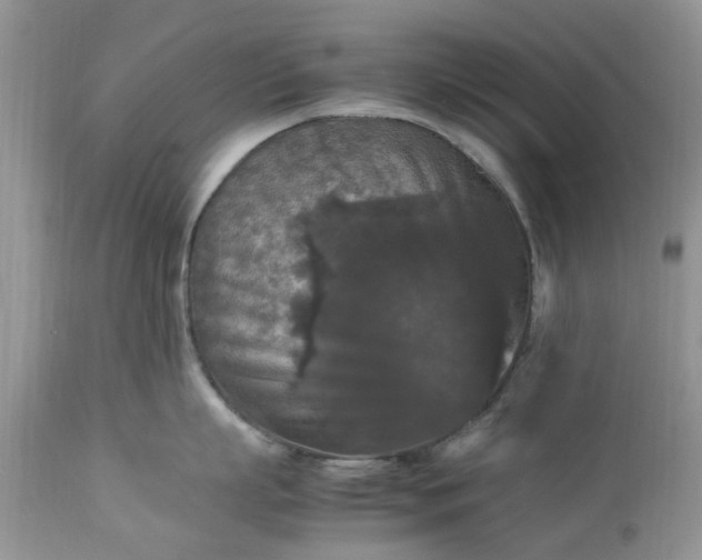 X0000113070863200909110939