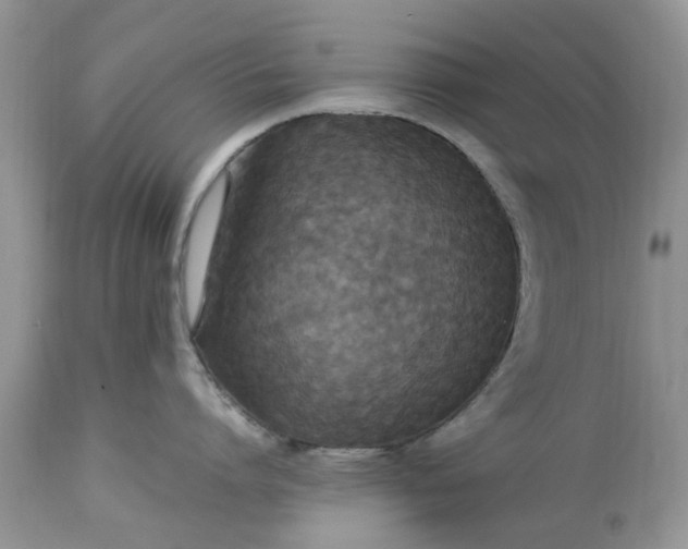 X0000113070864200909110939