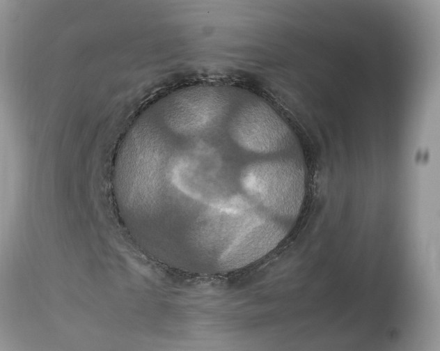 X0000113070865200909110938