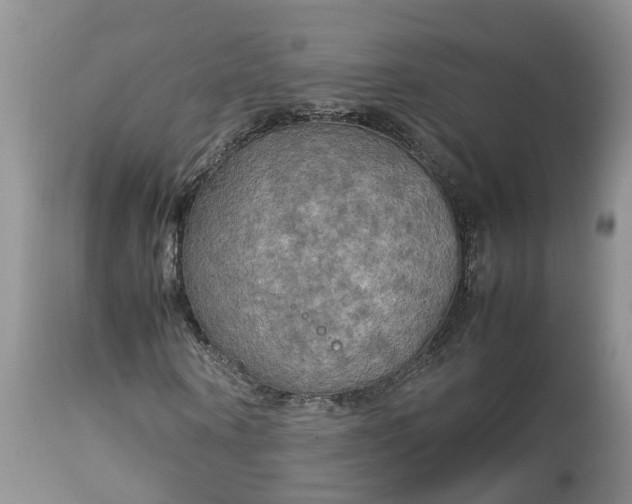 X0000113070866200909110938