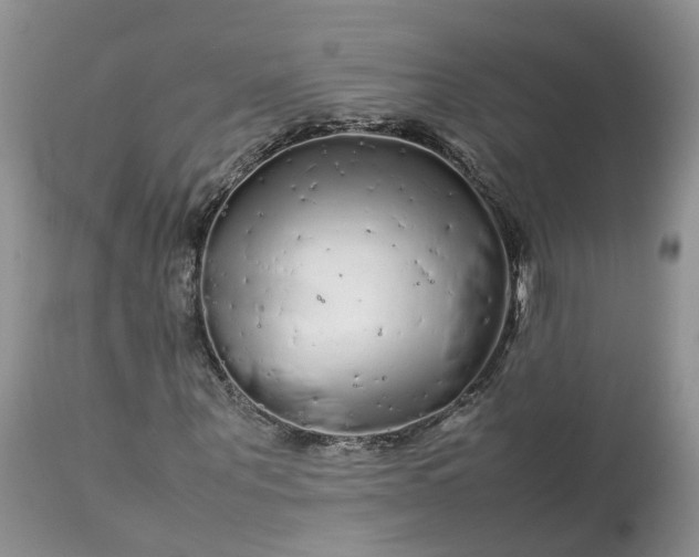 X0000113070867200909110938