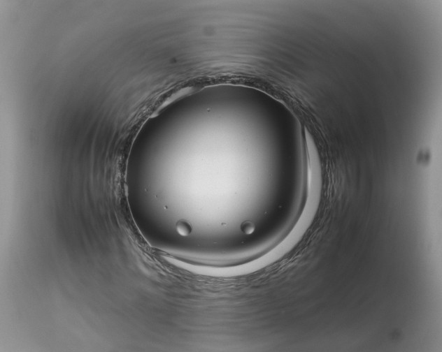 X0000113070868200909110938