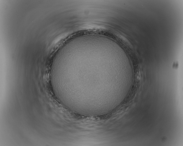 X0000113070869200909110938