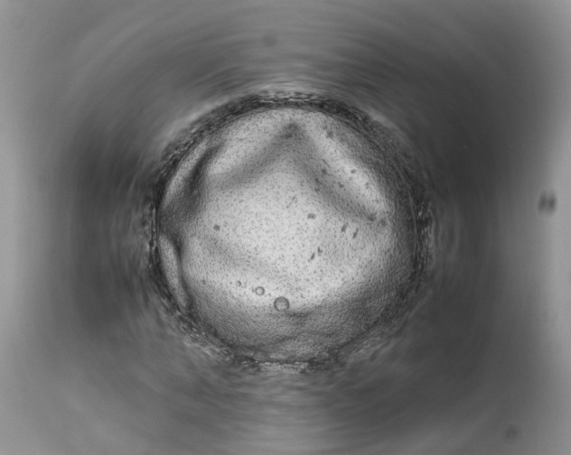 X0000113070870200909110938