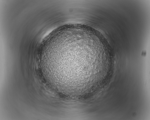 X0000113070871200909110938