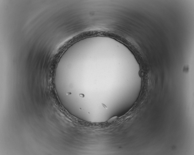 X0000113070872200909110938