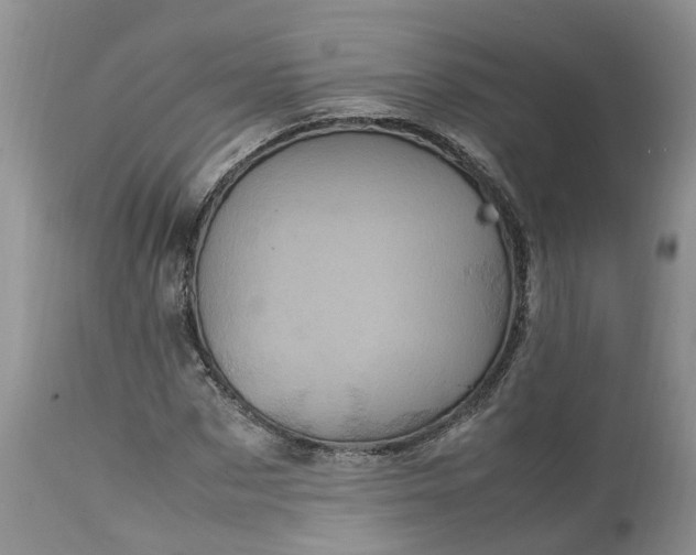 X0000113070873200909110938