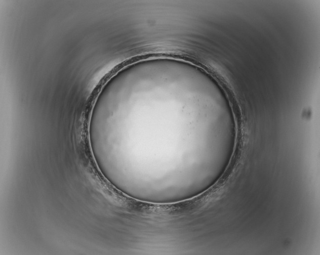 X0000113070875200909110937