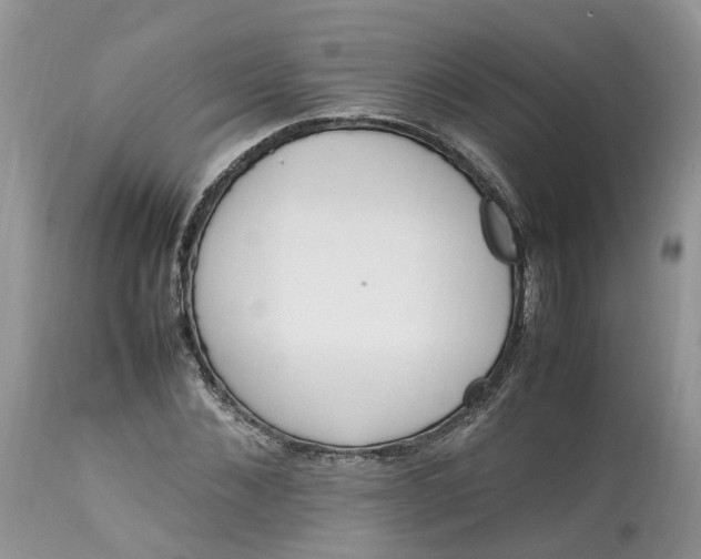 X0000113070876200909110937