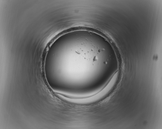 X0000113070877200909110937