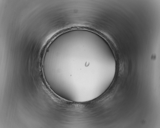 X0000113070878200909110937