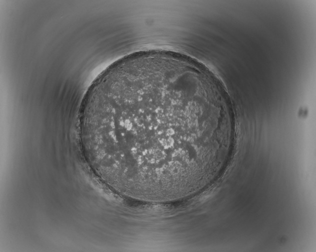 X0000113070879200909110937