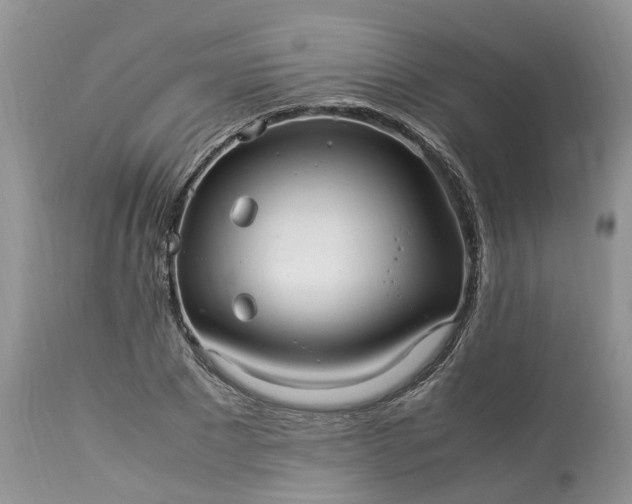 X0000113070881200909110937