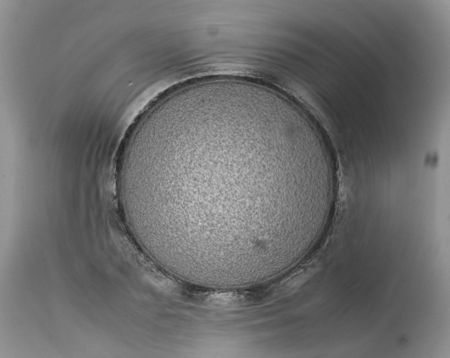 X0000113070883200909110937