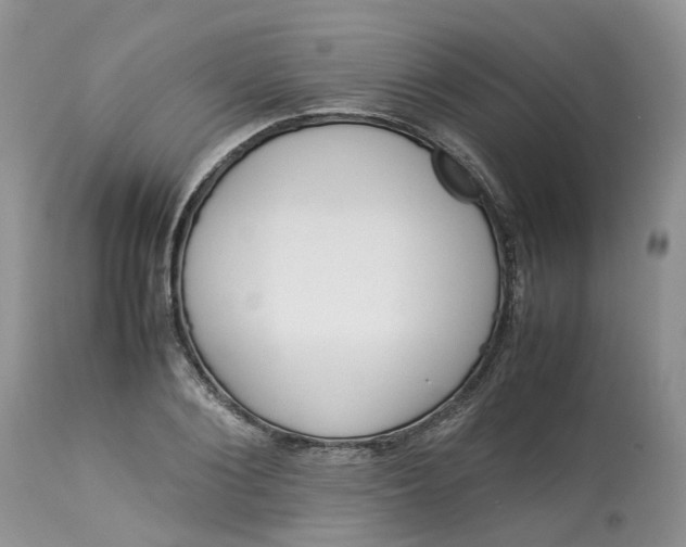 X0000113070884200909110937