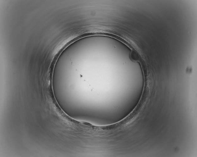 X0000113070885200909110937