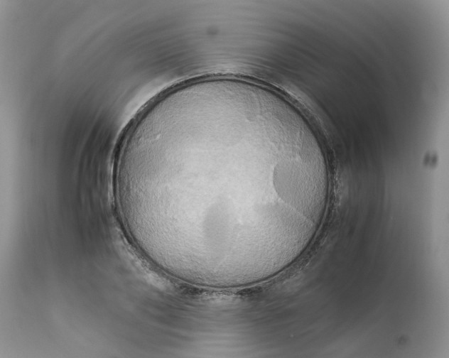 X0000113070886200909110937