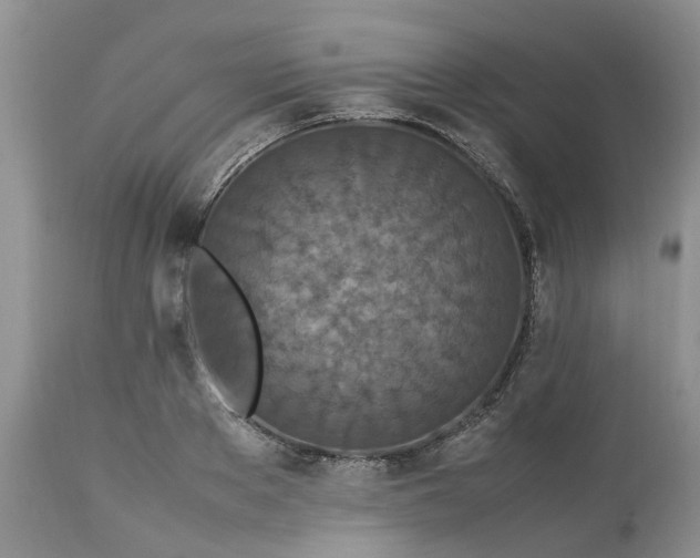 X0000113070889200909110937