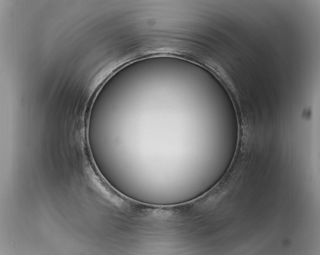 X0000113070890200909110937