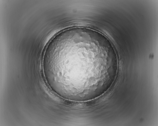 X0000113070891200909110937