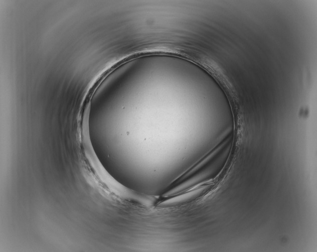 X0000113070892200909110937