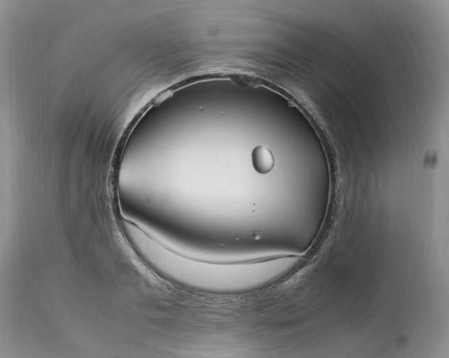 X0000113070893200909110937