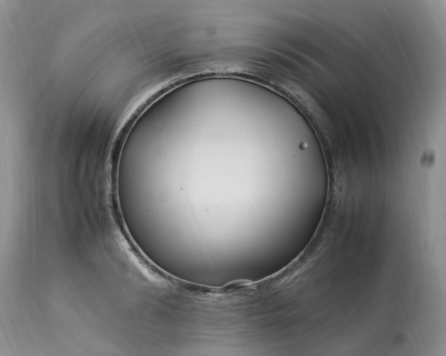 X0000113070894200909110937