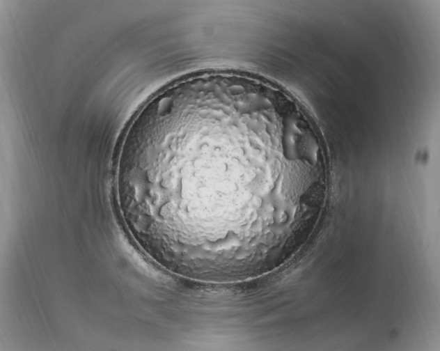 X0000113070895200909110937