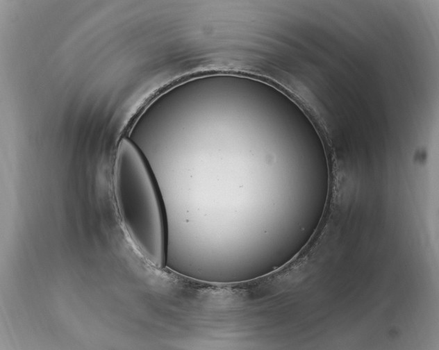 X0000113070896200909110937