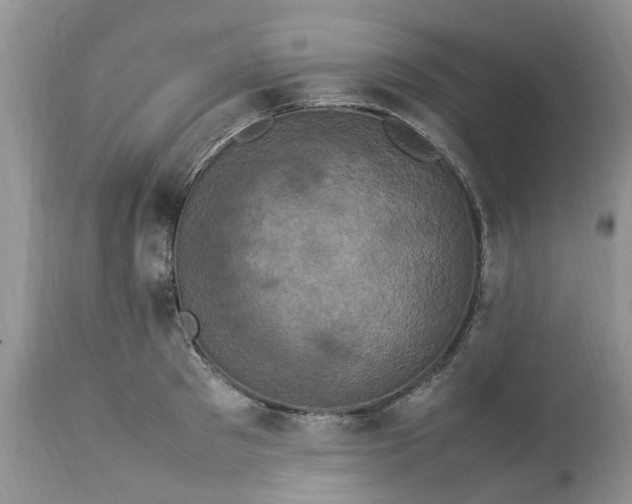 X0000113070897200909110937