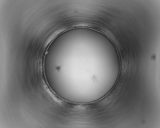 X0000113070898200909110937